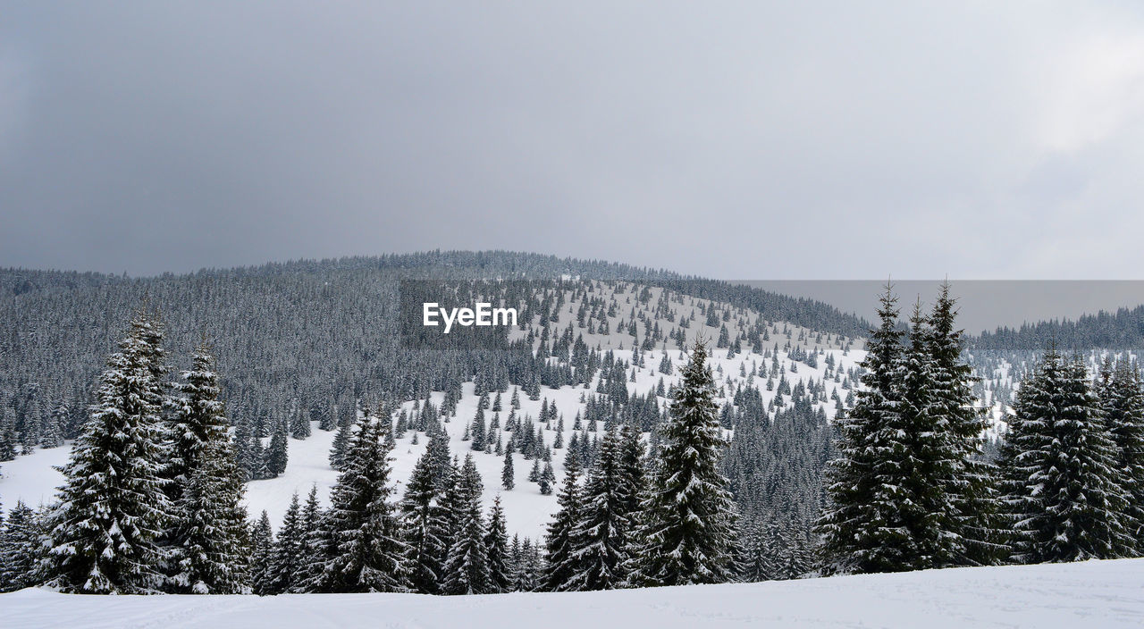 Snow covered landscape