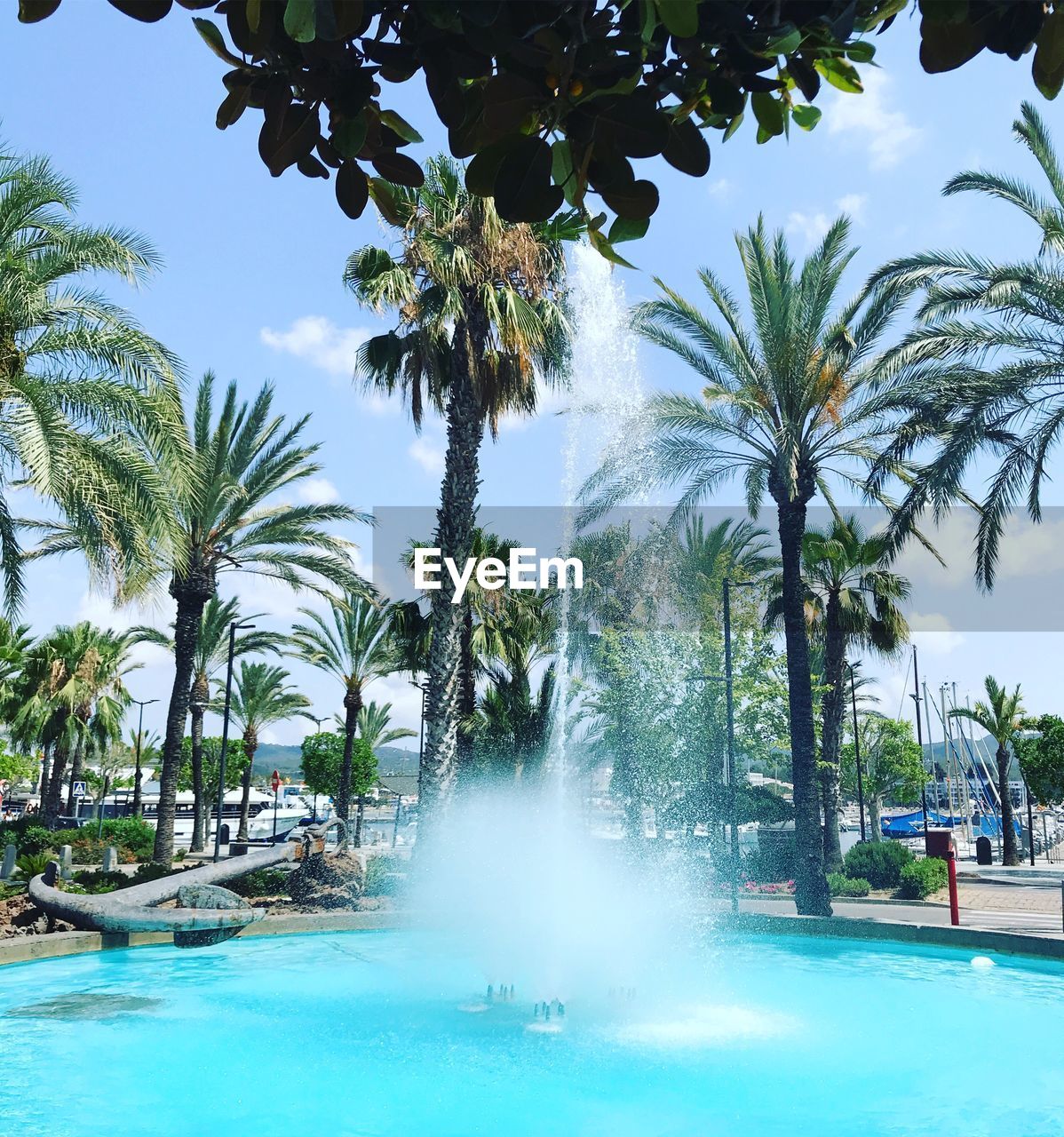 PALM TREES BY SWIMMING POOL AGAINST SKY