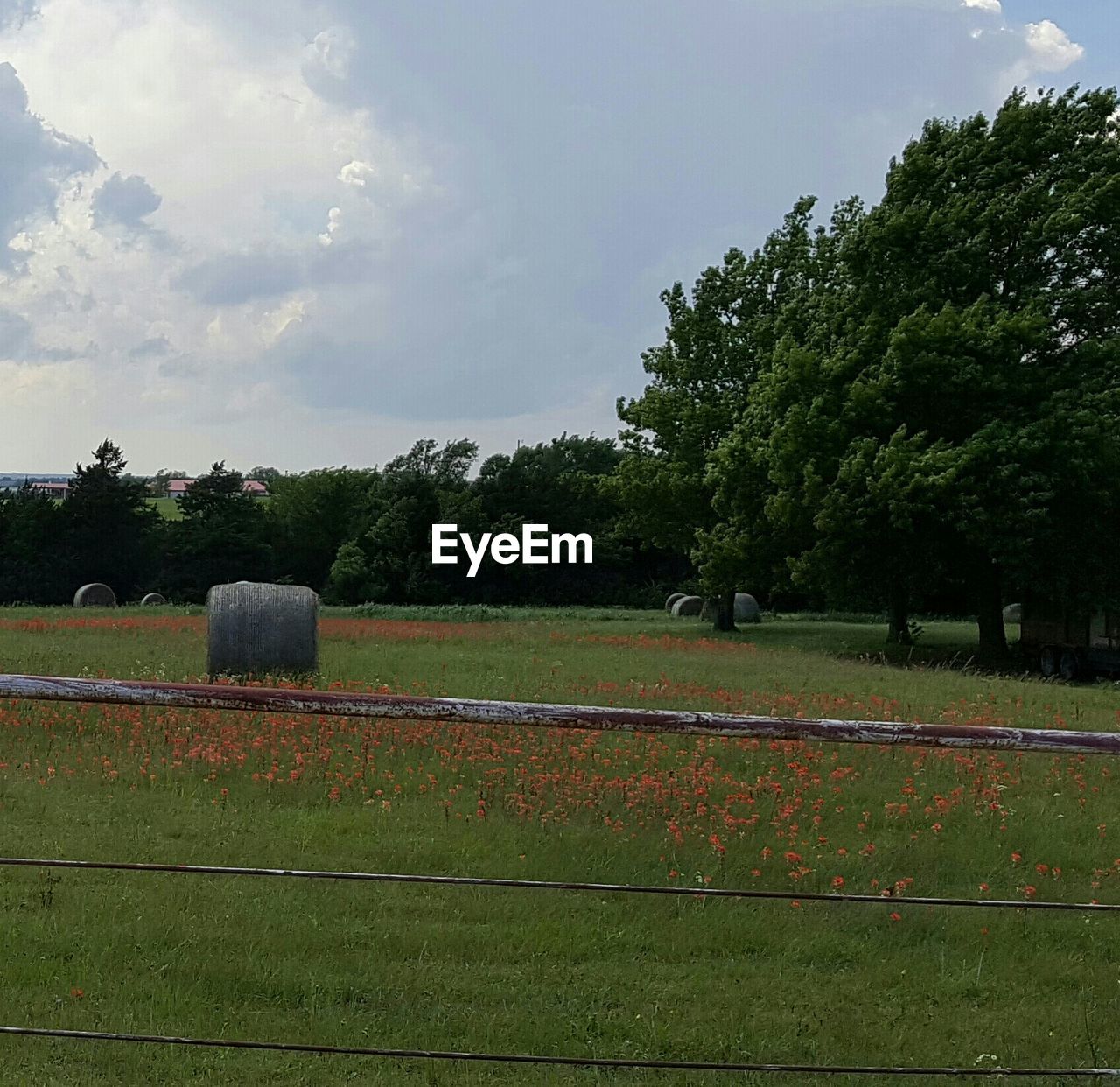 SCENIC VIEW OF GRASSY FIELD AGAINST SKY