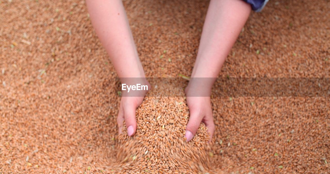 one person, low section, human leg, childhood, child, limb, land, nature, day, barefoot, women, soil, human limb, hand, sand, high angle view, human foot, close-up, outdoors, grass, lifestyles, summer, leisure activity, standing