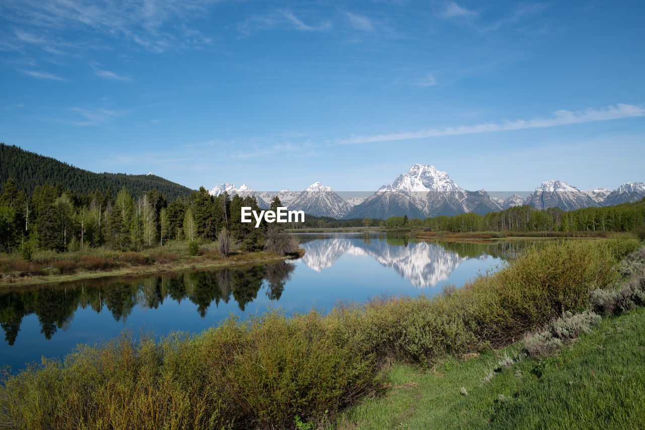 SCENIC VIEW OF LAKE BY TREES AGAINST SKY