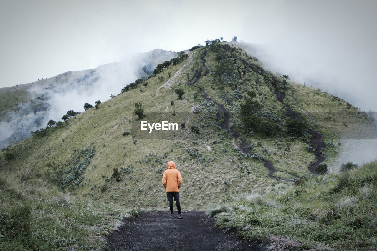 Rear view of man standing by green mountain