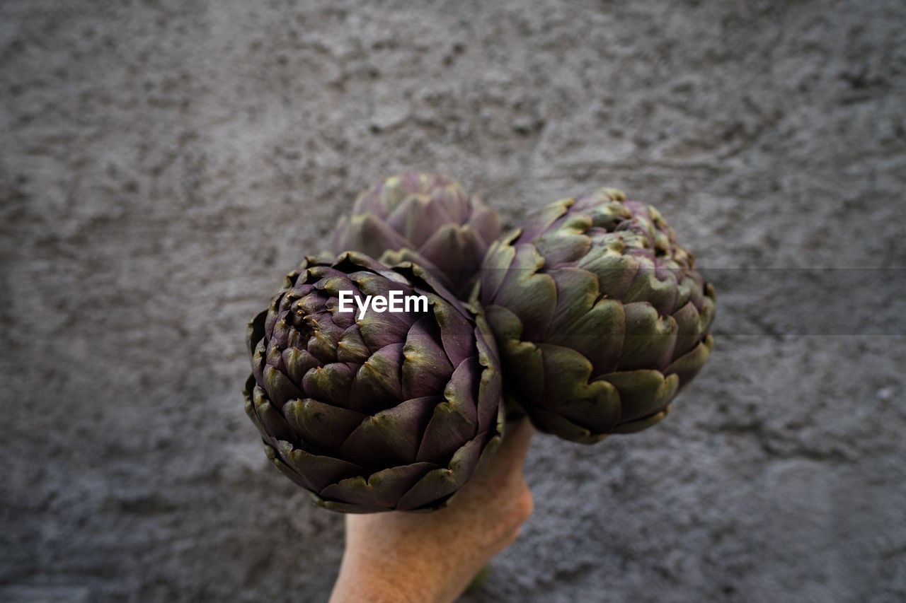 Cropped hand holding artichokes