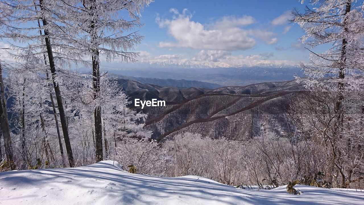 SCENIC VIEW OF SNOW COVERED LANDSCAPE