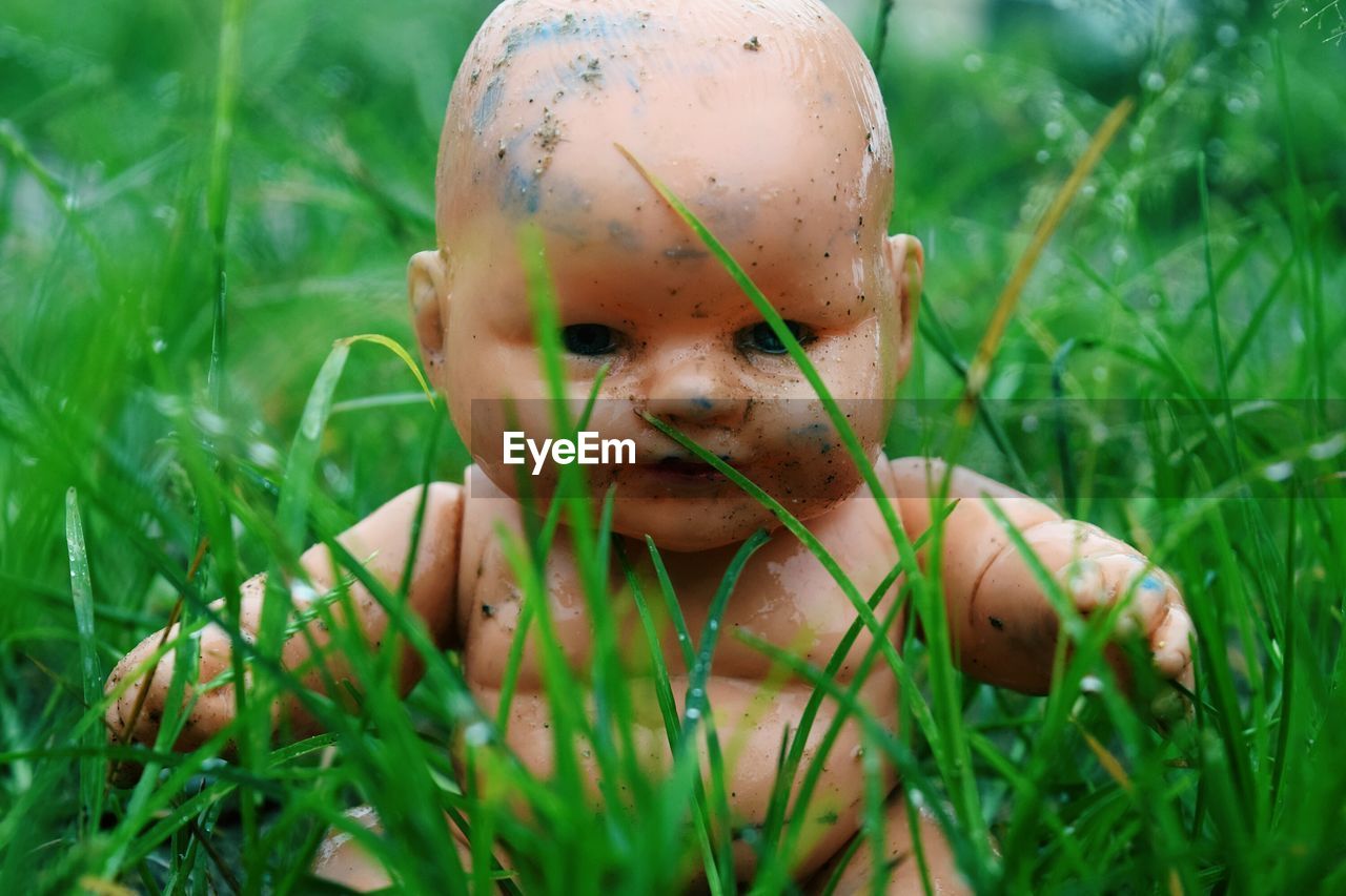 Close-up of doll amidst grass