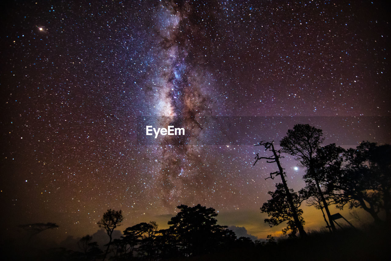 Low angle view of star field against sky at night