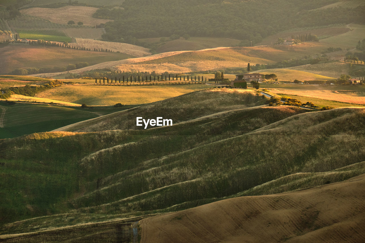 High angle view of agricultural field