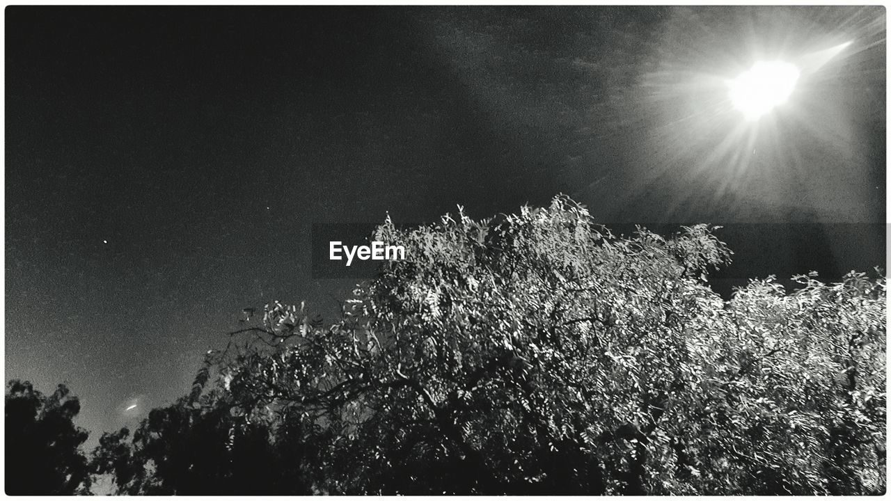 Falling comet above trees