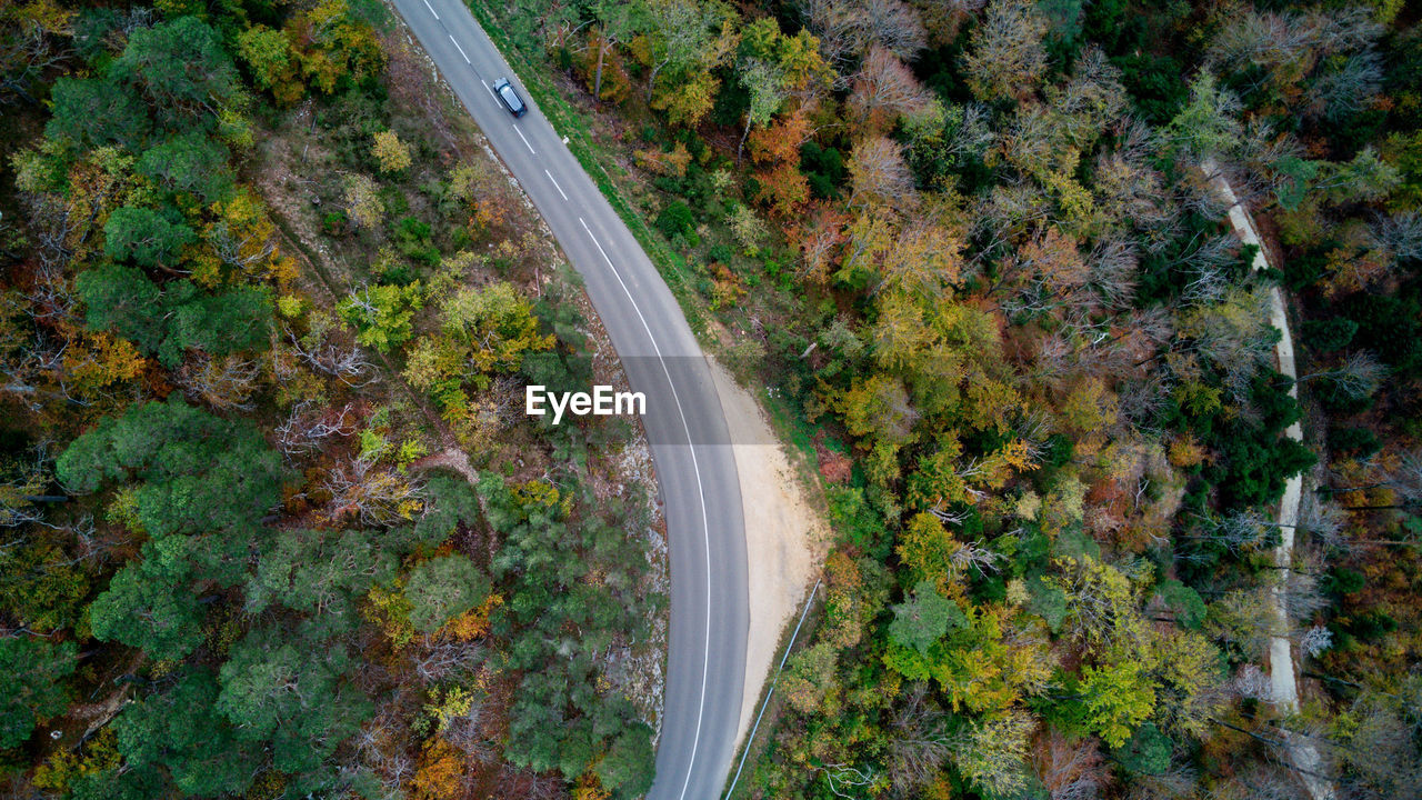 high angle view, plant, transportation, road, forest, tree, no people, nature, land, beauty in nature, aerial photography, aerial view, scenics - nature, growth, autumn, day, non-urban scene, green, outdoors, environment, tranquility, leaf, landscape, mode of transportation, highway, curve, winding road, tranquil scene, travel, motion, motor vehicle