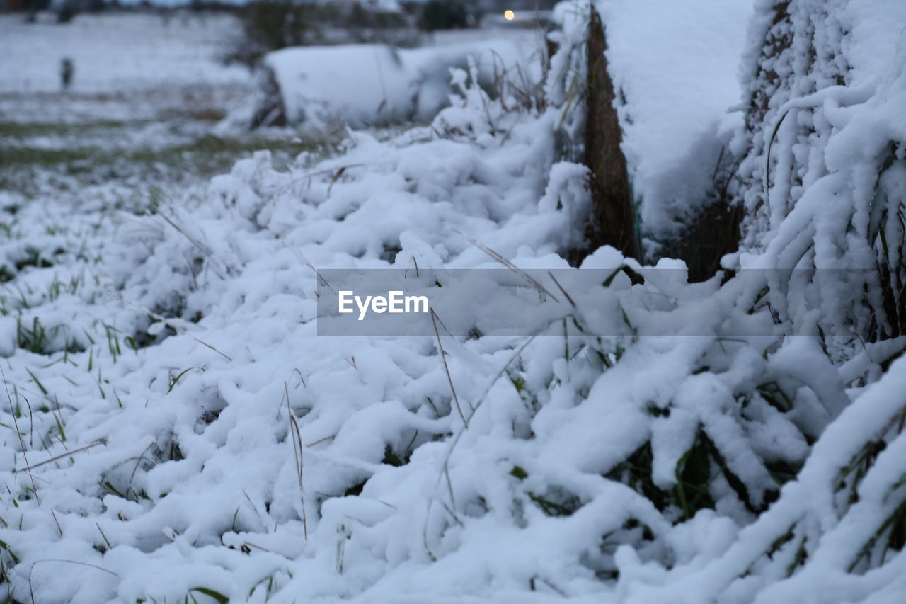 CLOSE-UP OF SNOW COVERED FIELD