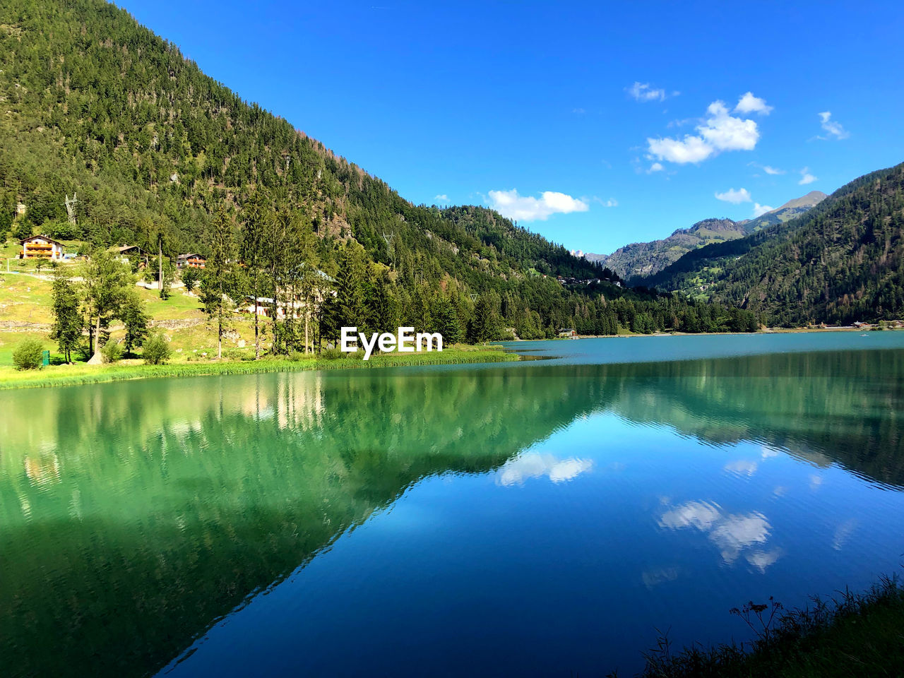 water, lake, scenics - nature, mountain, reflection, beauty in nature, tree, sky, plant, tranquility, tranquil scene, nature, body of water, environment, landscape, forest, blue, land, mountain range, reservoir, pine tree, no people, pine woodland, coniferous tree, pinaceae, green, idyllic, travel destinations, non-urban scene, wilderness, woodland, travel, outdoors, summer, day, crater lake, clear sky, tourism, cloud, activity, standing water