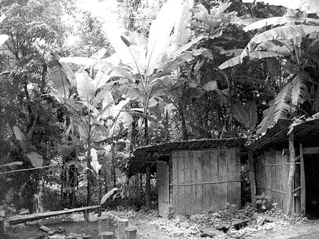 VIEW OF PLANTS AGAINST BUILDING