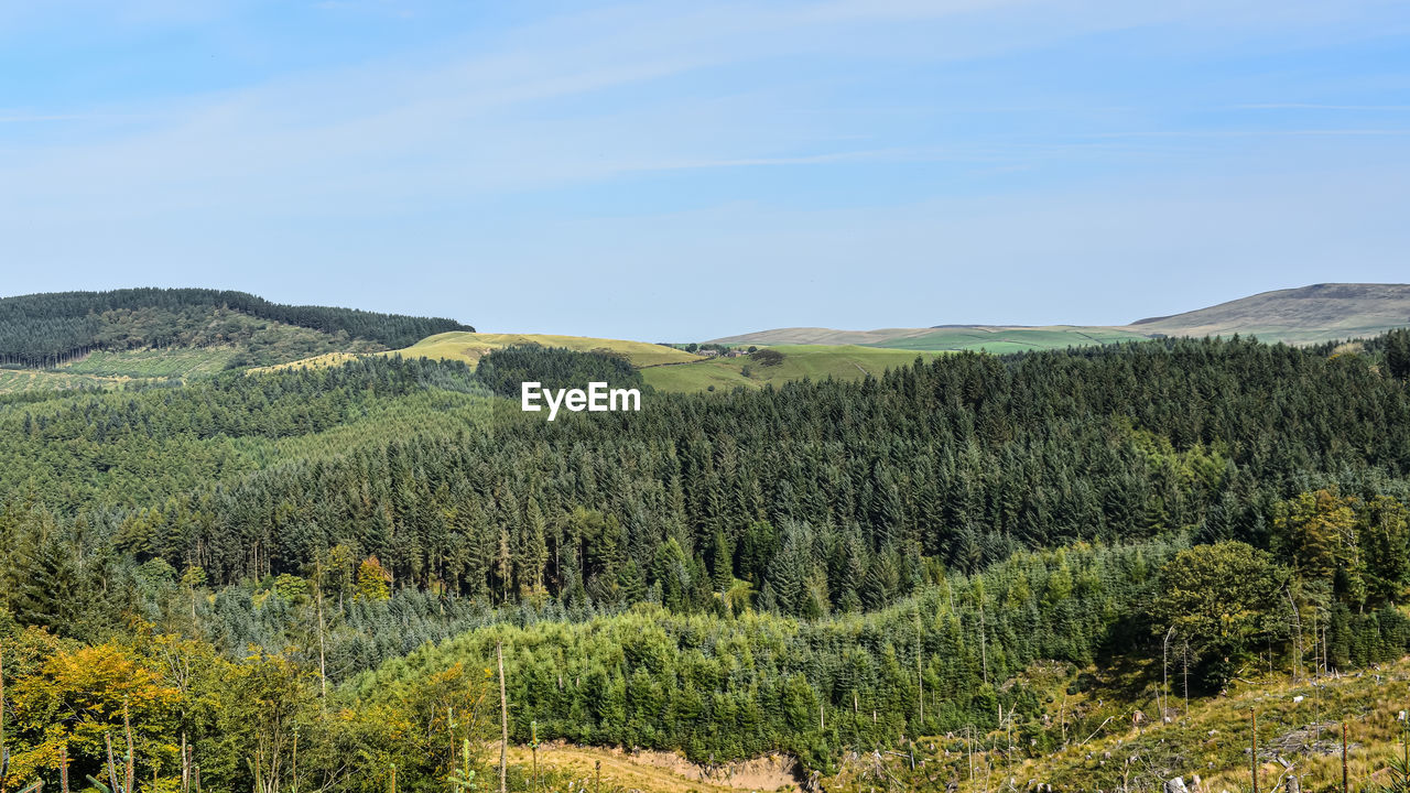 SCENIC VIEW OF LAND AND TREES AGAINST SKY