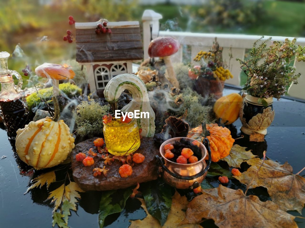 Close-up halloween composition on a garden