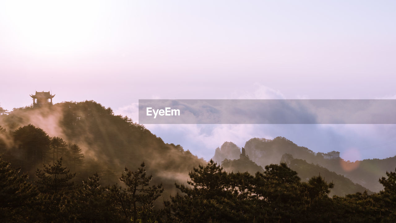 Panoramic view of trees on landscape against sky