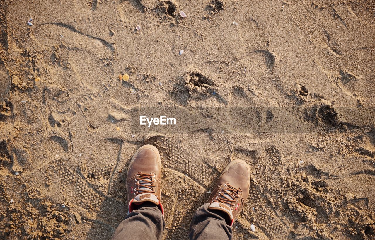 Low section view of person standing on sand