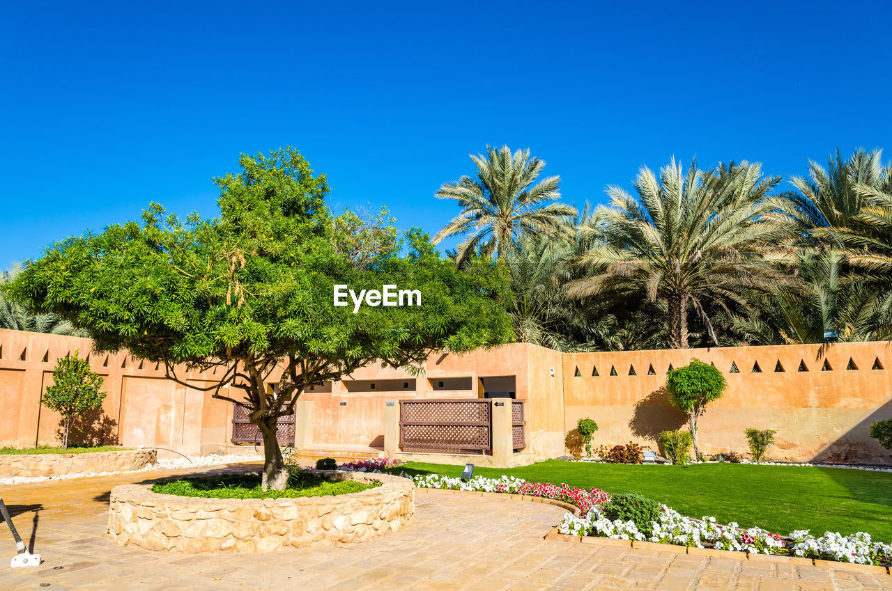 PALM TREES AND PLANTS AGAINST BLUE SKY AND HOUSE