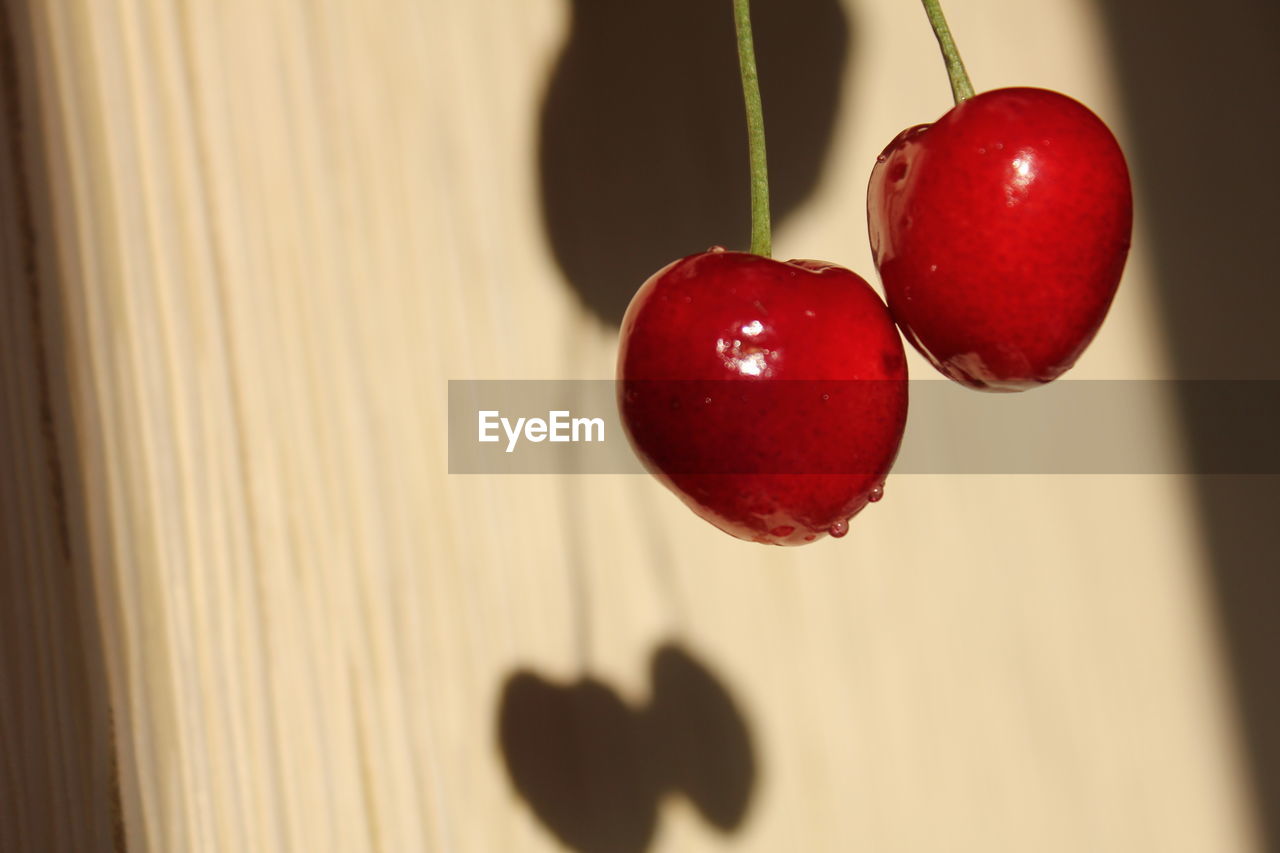 Two wet cherries on the background of a wooden surface with oblique shadows.