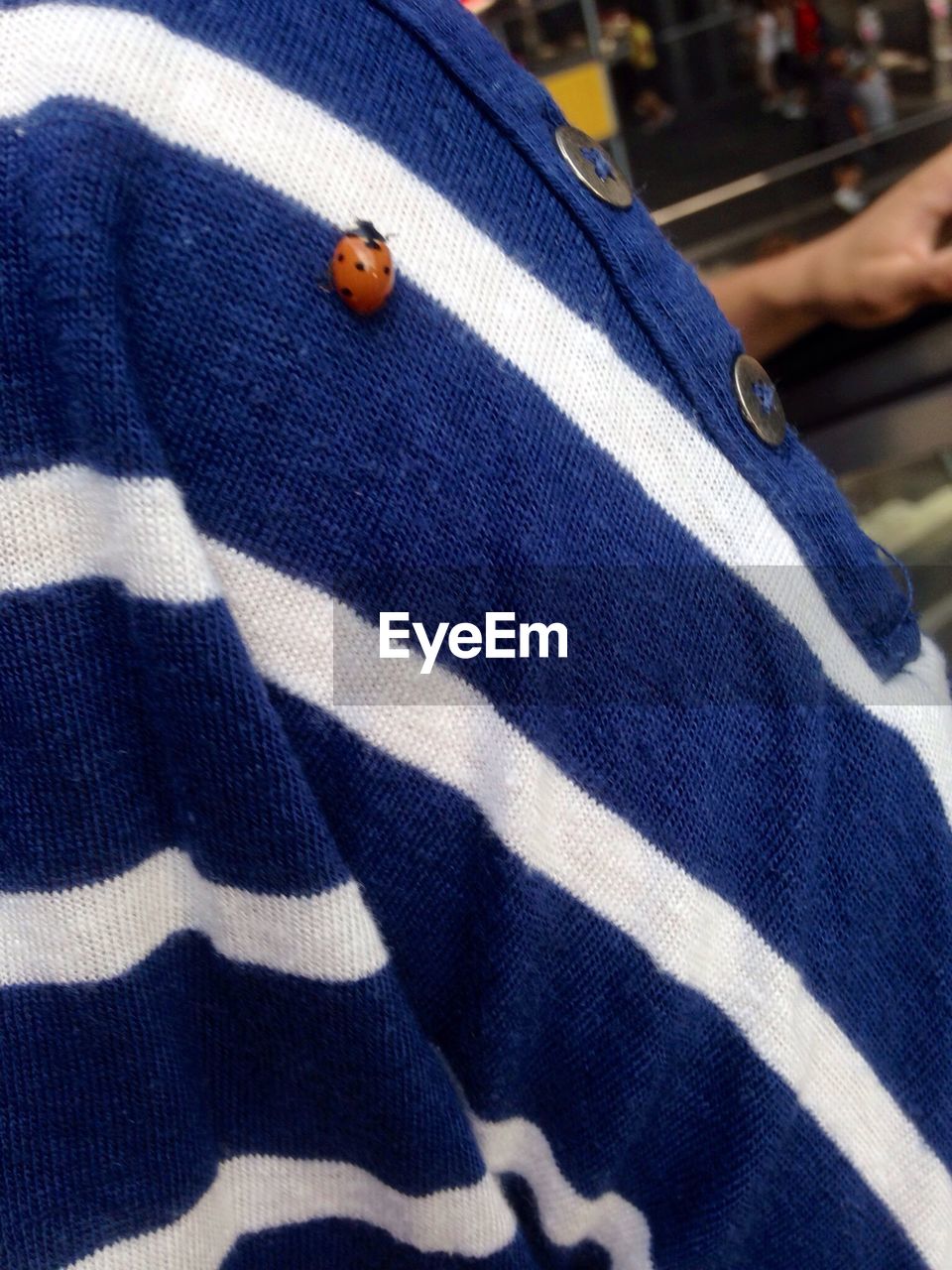 Ladybird on polo shirt