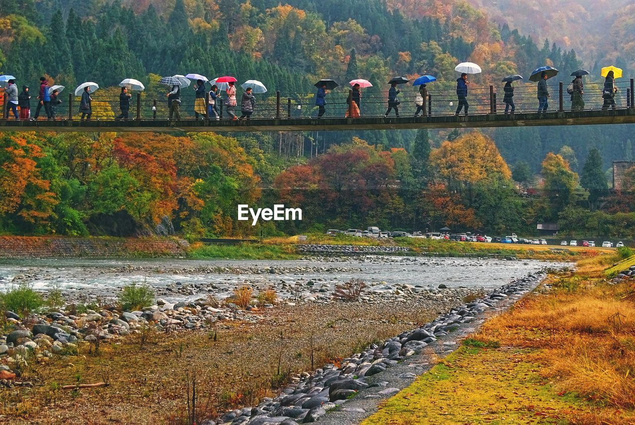 GROUP OF PEOPLE ON ROAD BY TREES