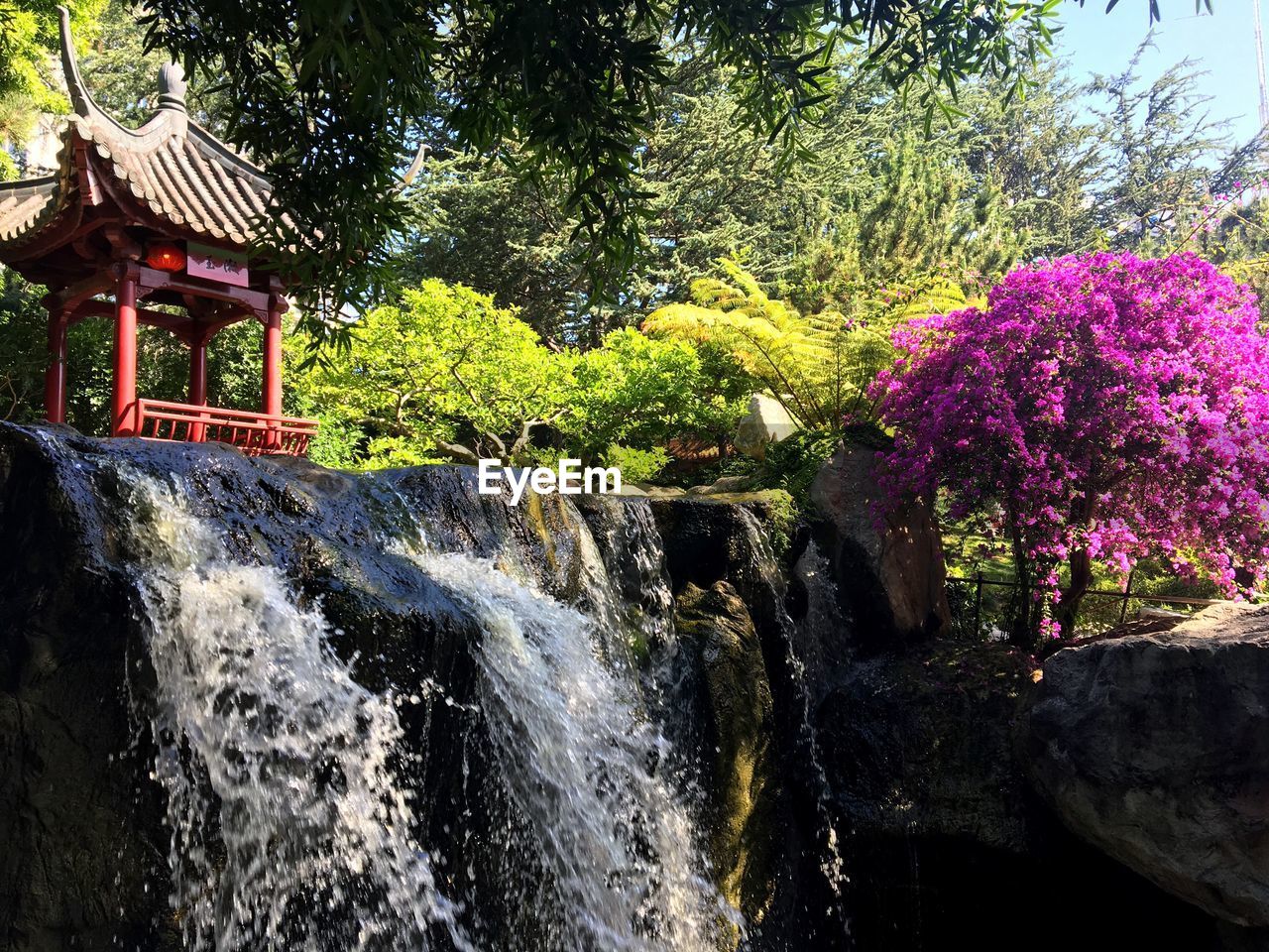 CLOSE-UP OF WATER FLOWING IN TREE