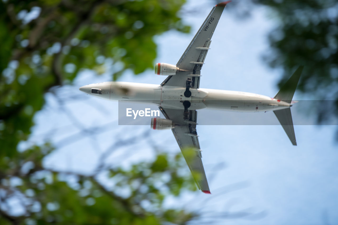 Low angle view of airplane flying against sky