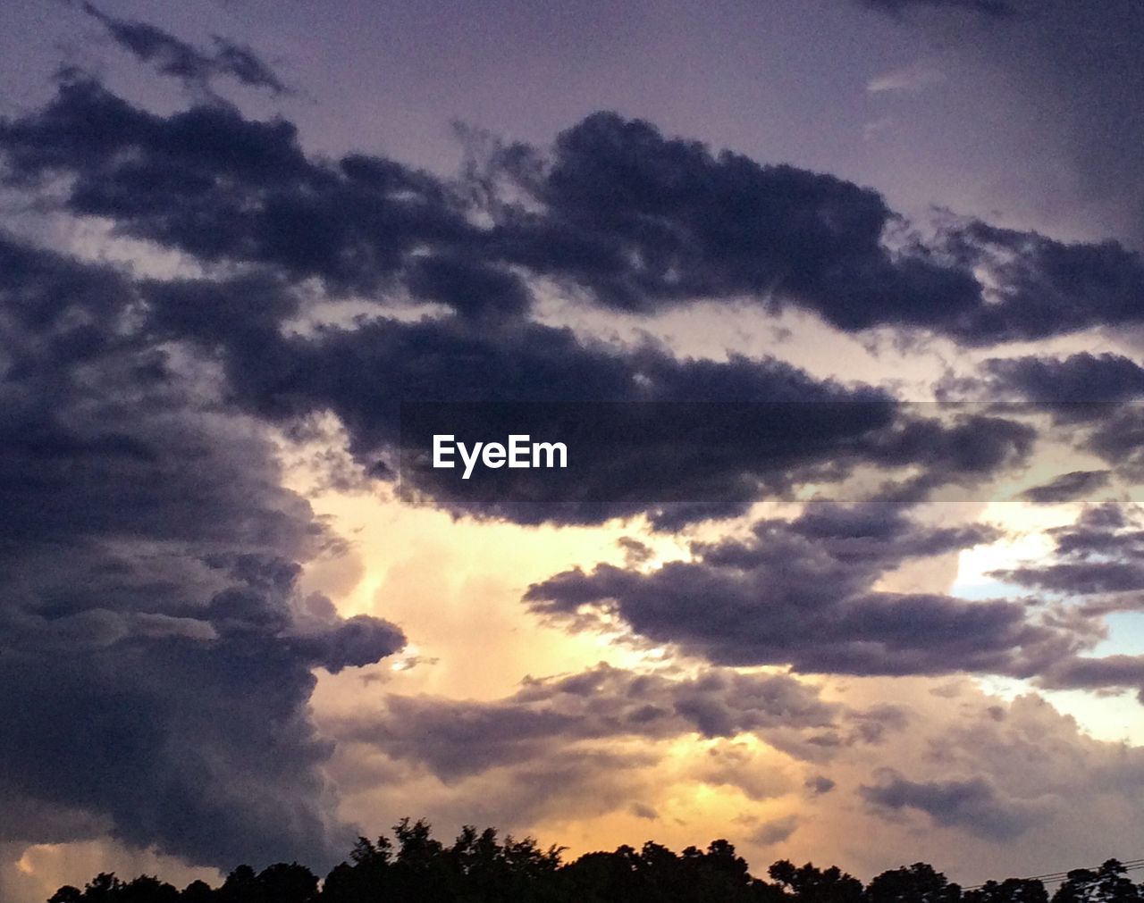 LOW ANGLE VIEW OF SILHOUETTE TREES AGAINST SKY