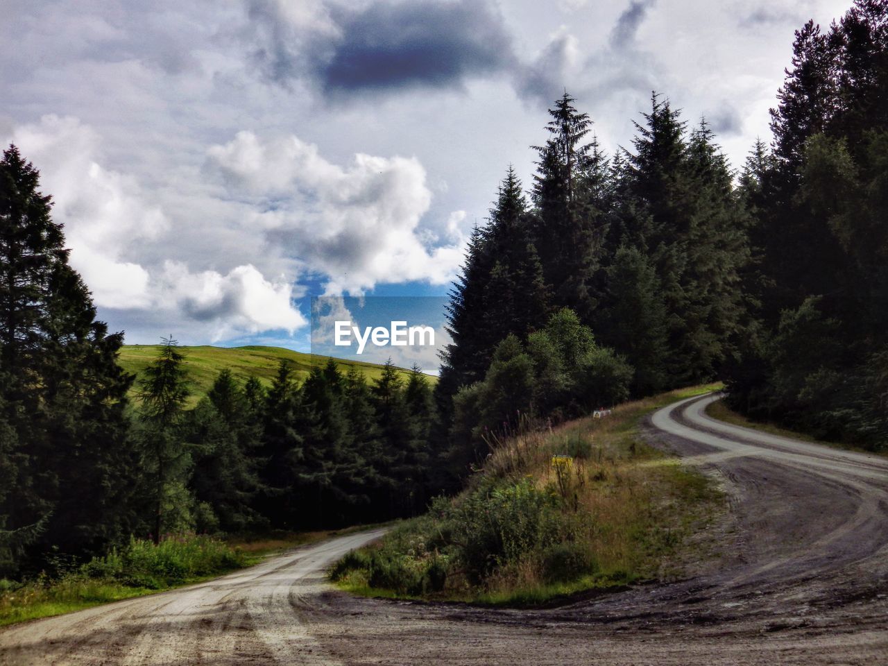 Trees growing by empty road against cloudy sky