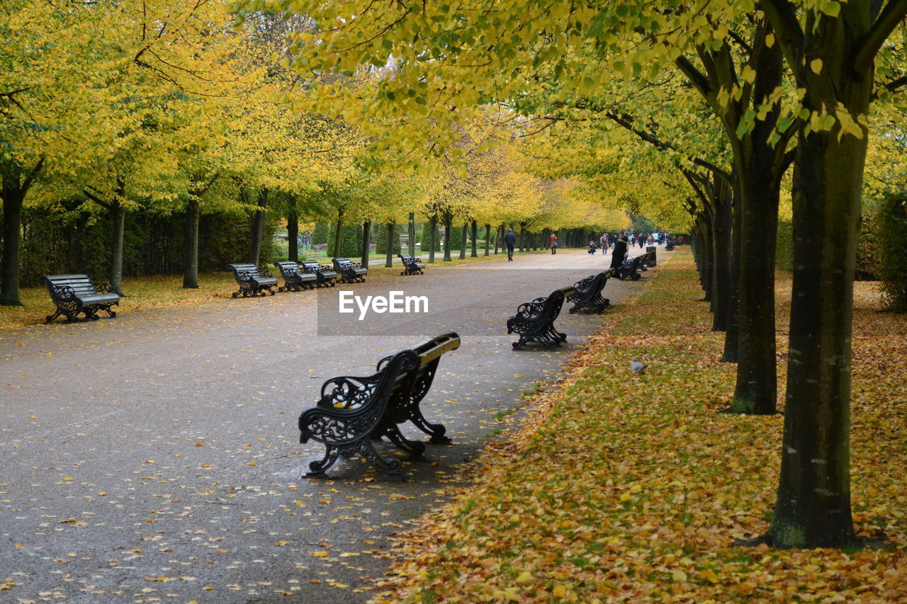 BICYCLES IN PARK