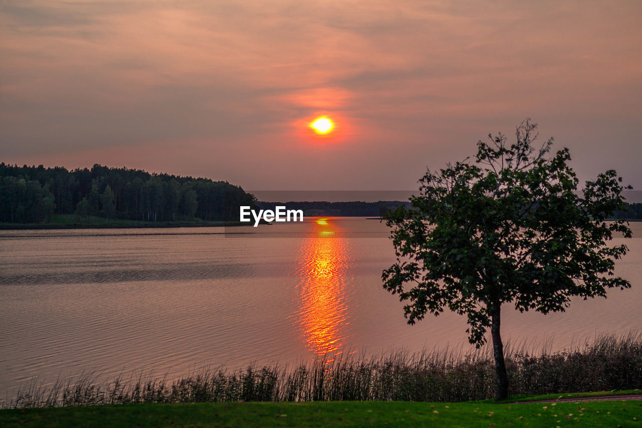 SCENIC VIEW OF FIELD AGAINST ORANGE SKY