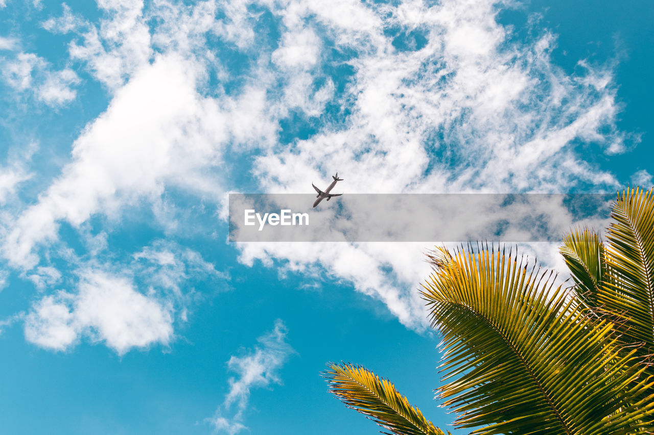 Airplane spotted flying from airport in puerto rico tropical island