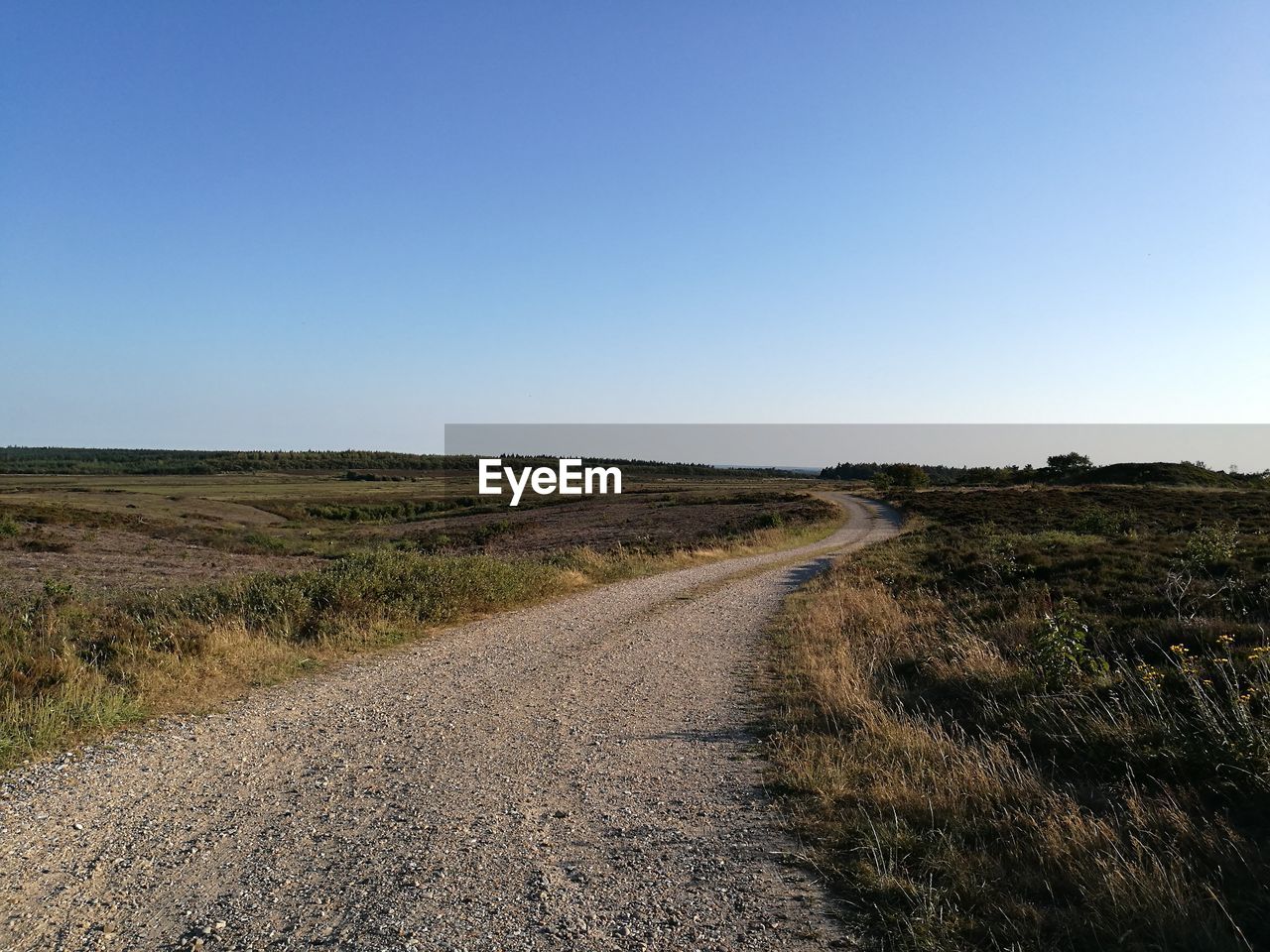 Empty road amidst field against clear sky