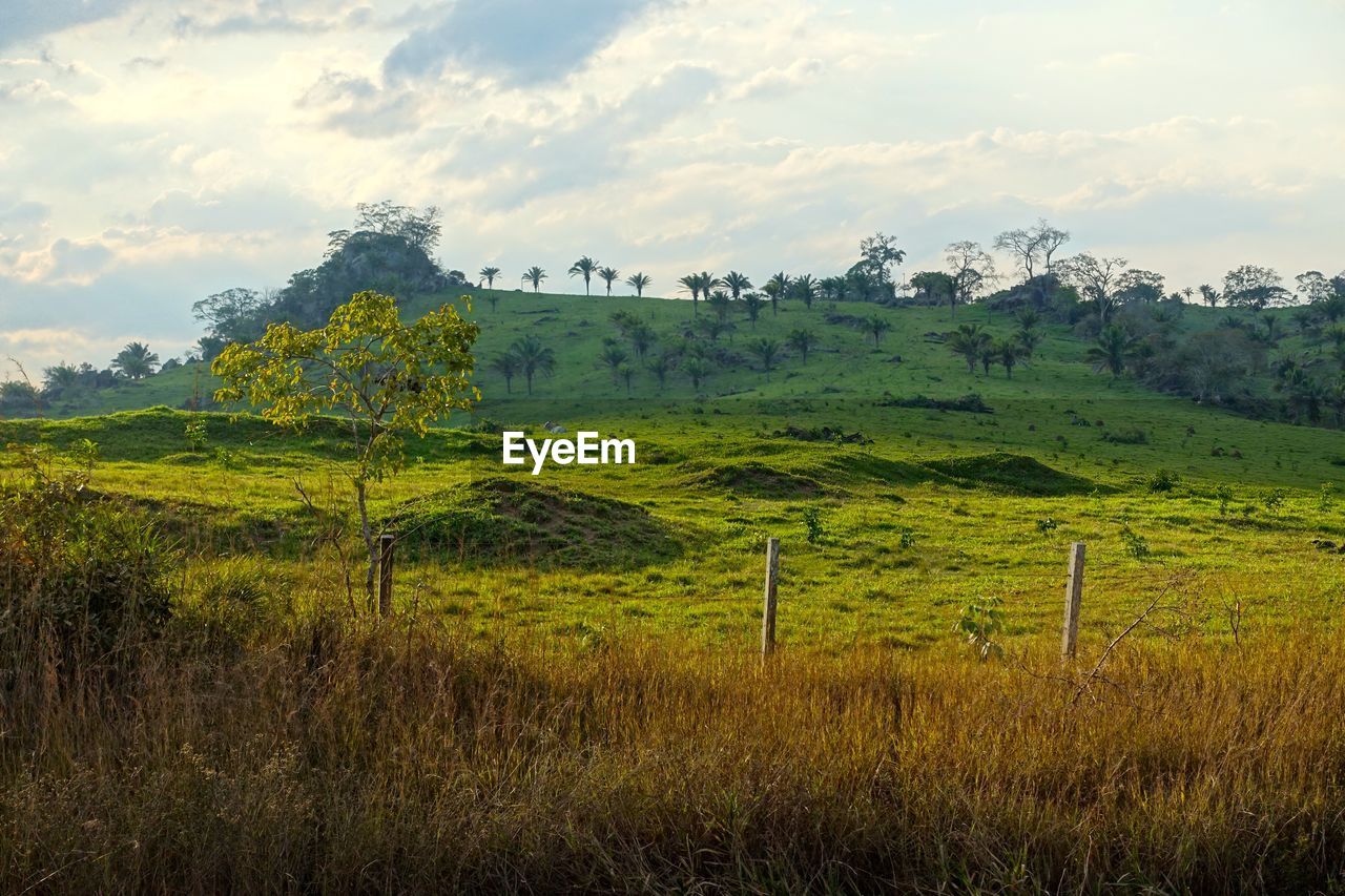 Scenic view of grassy field against cloudy sky