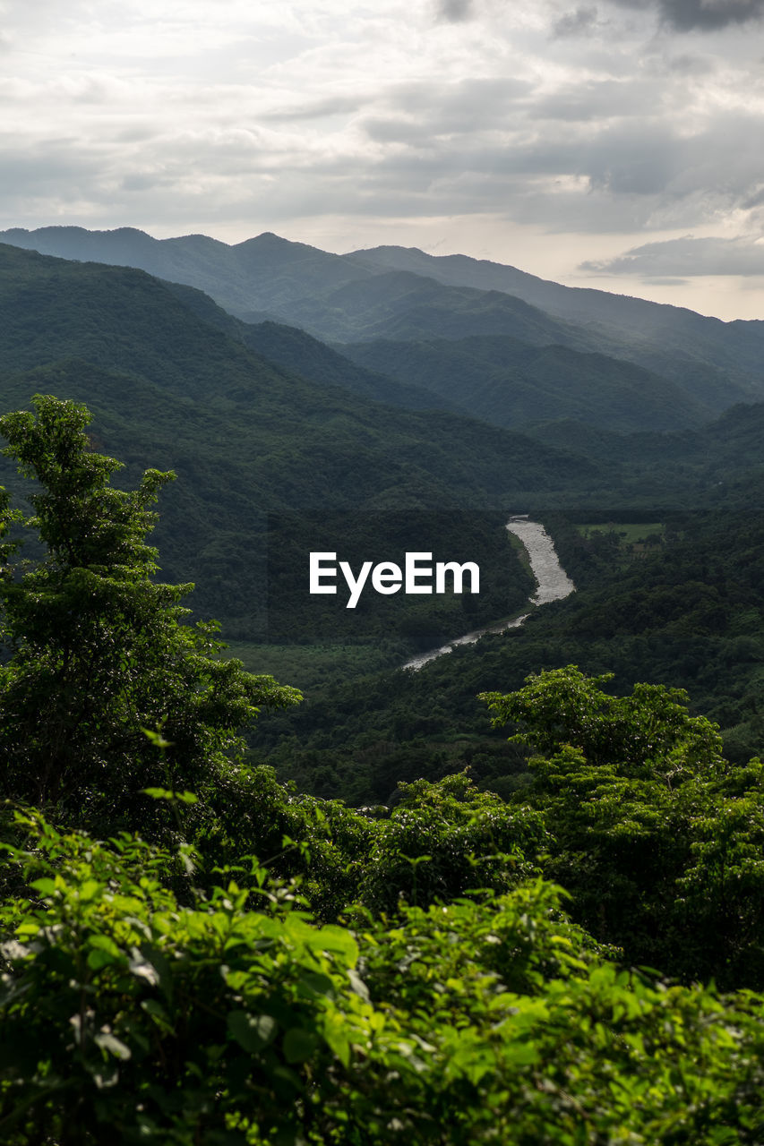 Scenic view of tree mountains against sky