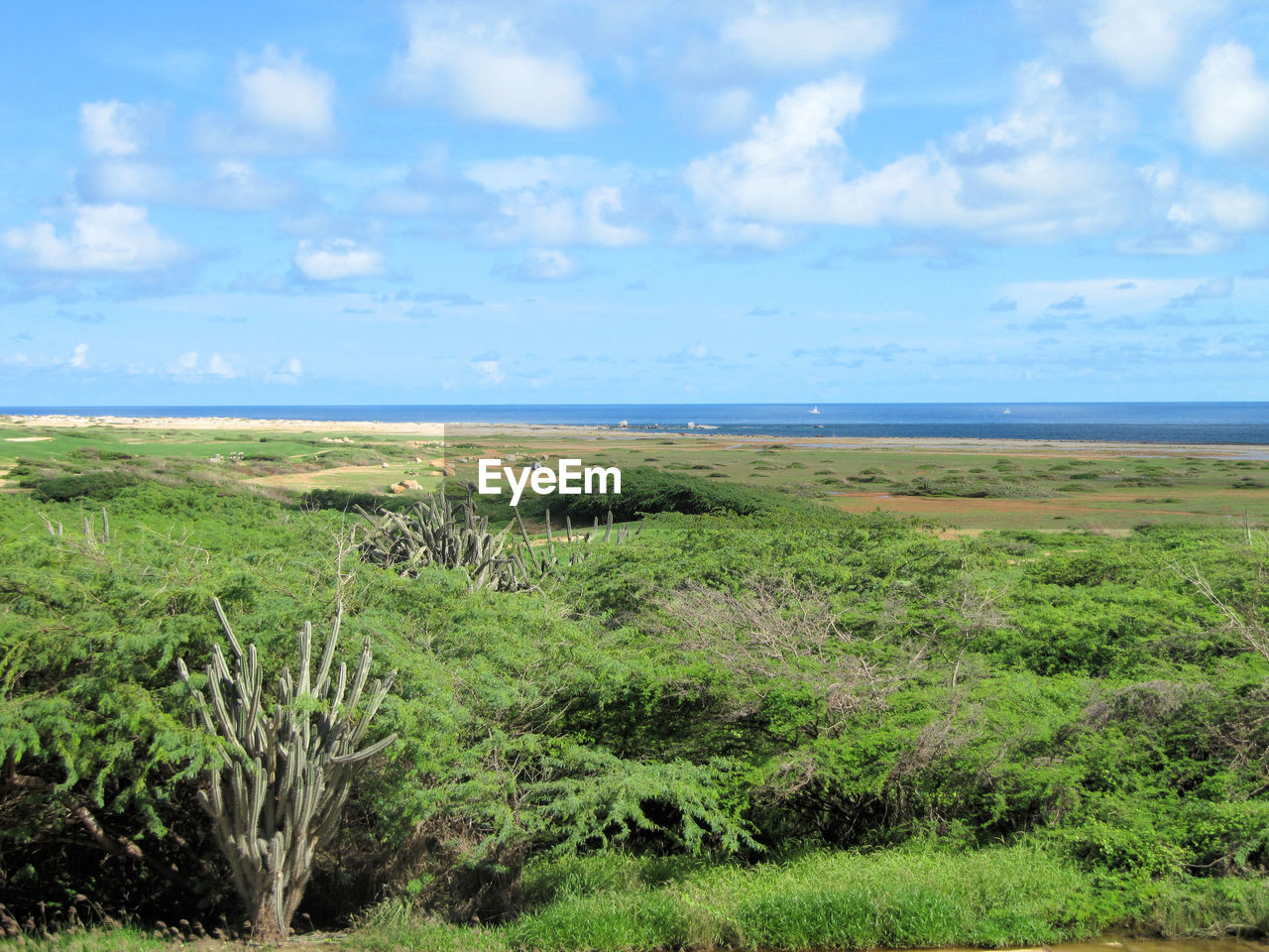 SCENIC VIEW OF LAND AGAINST SEA