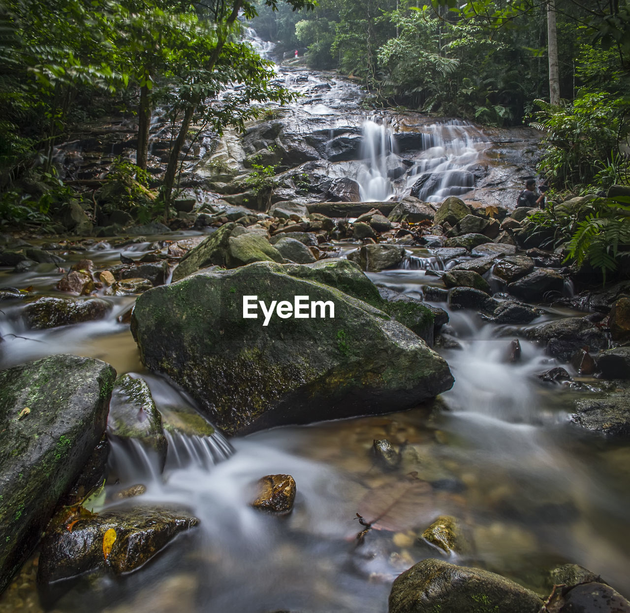 Stream flowing through rocks in forest