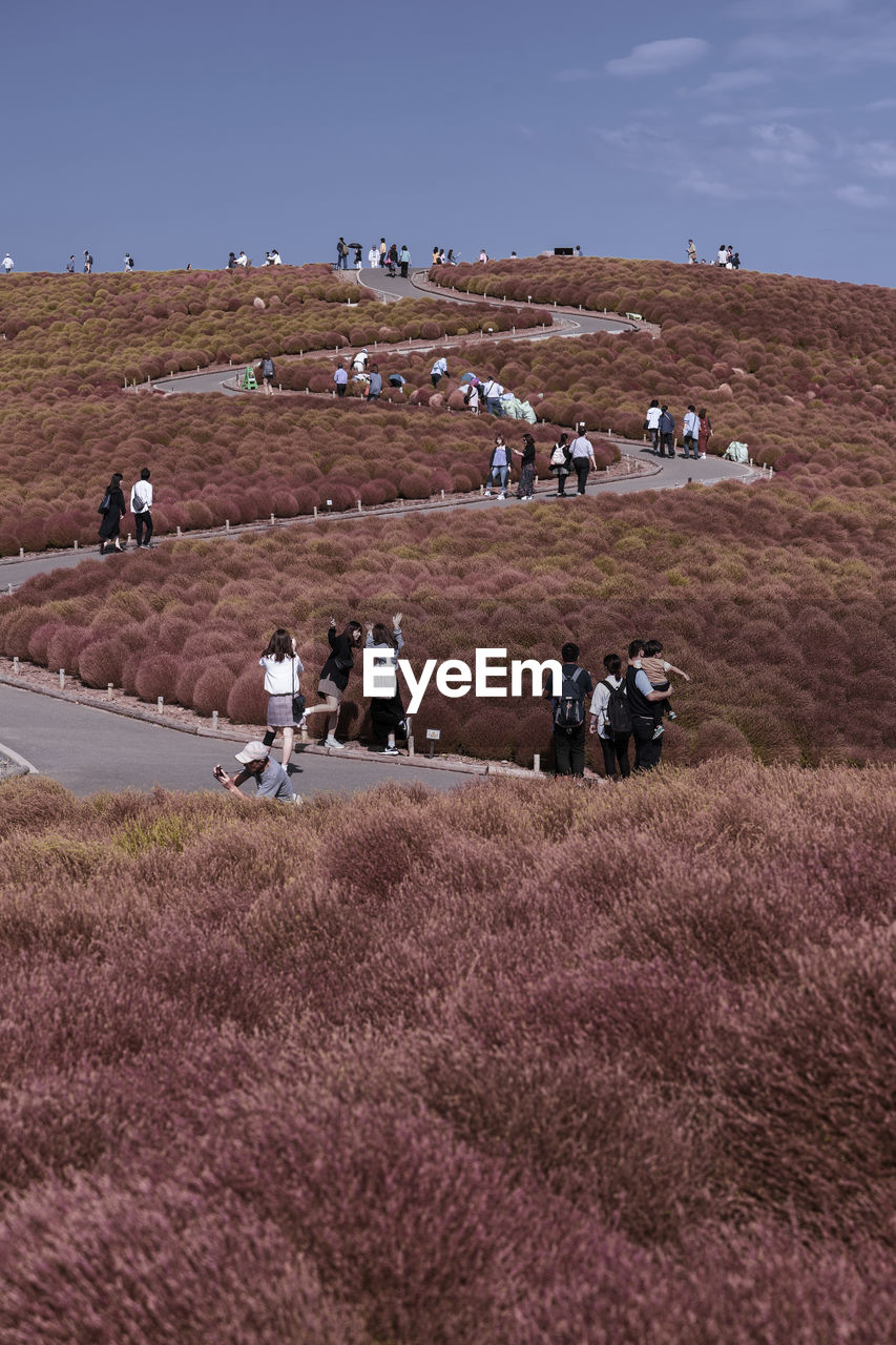 People on field against sky