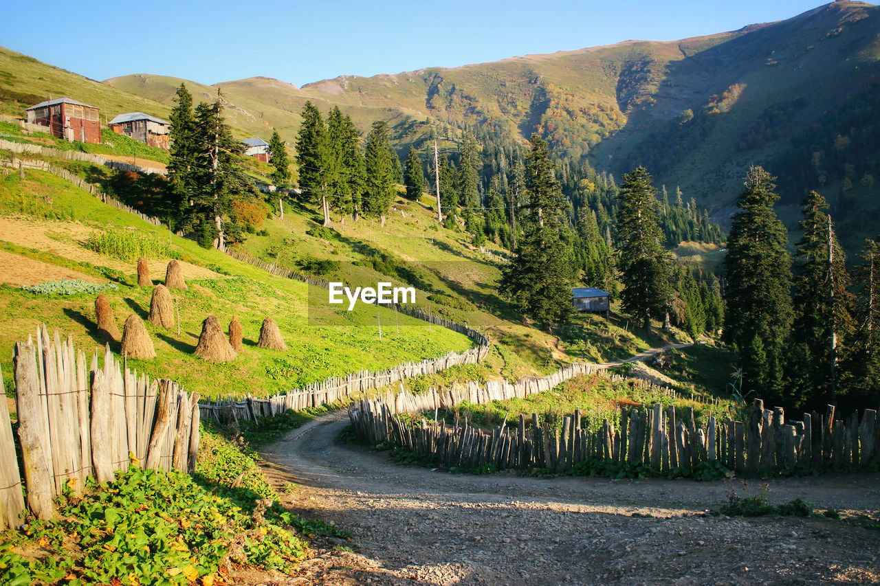 SCENIC VIEW OF ROAD BY TREES AND MOUNTAINS AGAINST SKY