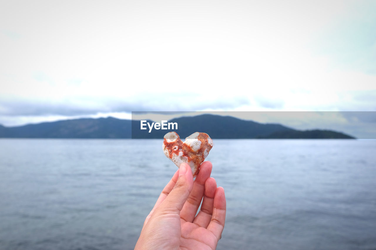 Human hand holding sea heart red coral against sky