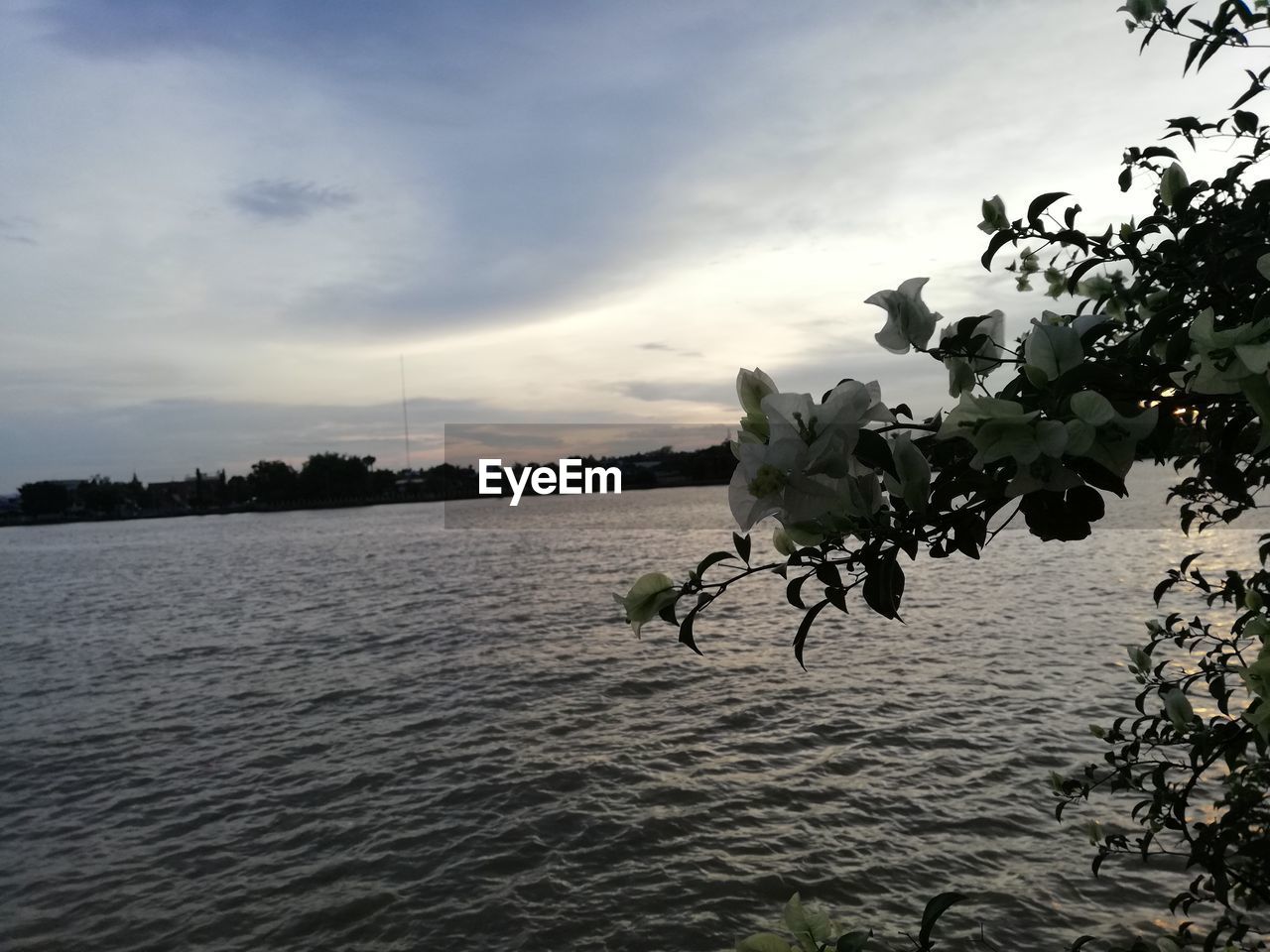 SCENIC VIEW OF SEA AGAINST SKY AT SUNSET