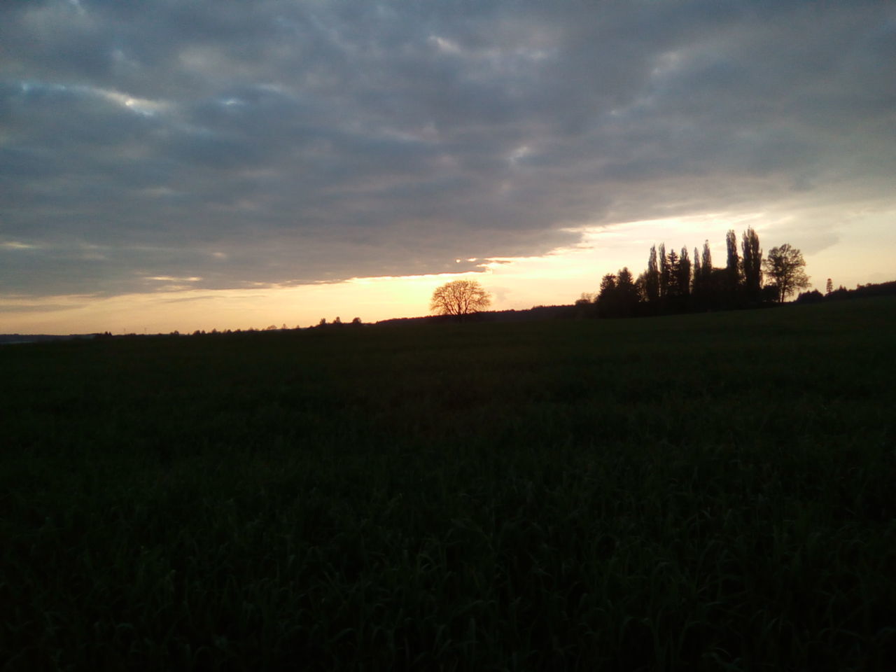 SILHOUETTE OF AGRICULTURAL LANDSCAPE AGAINST CLOUDY SKY