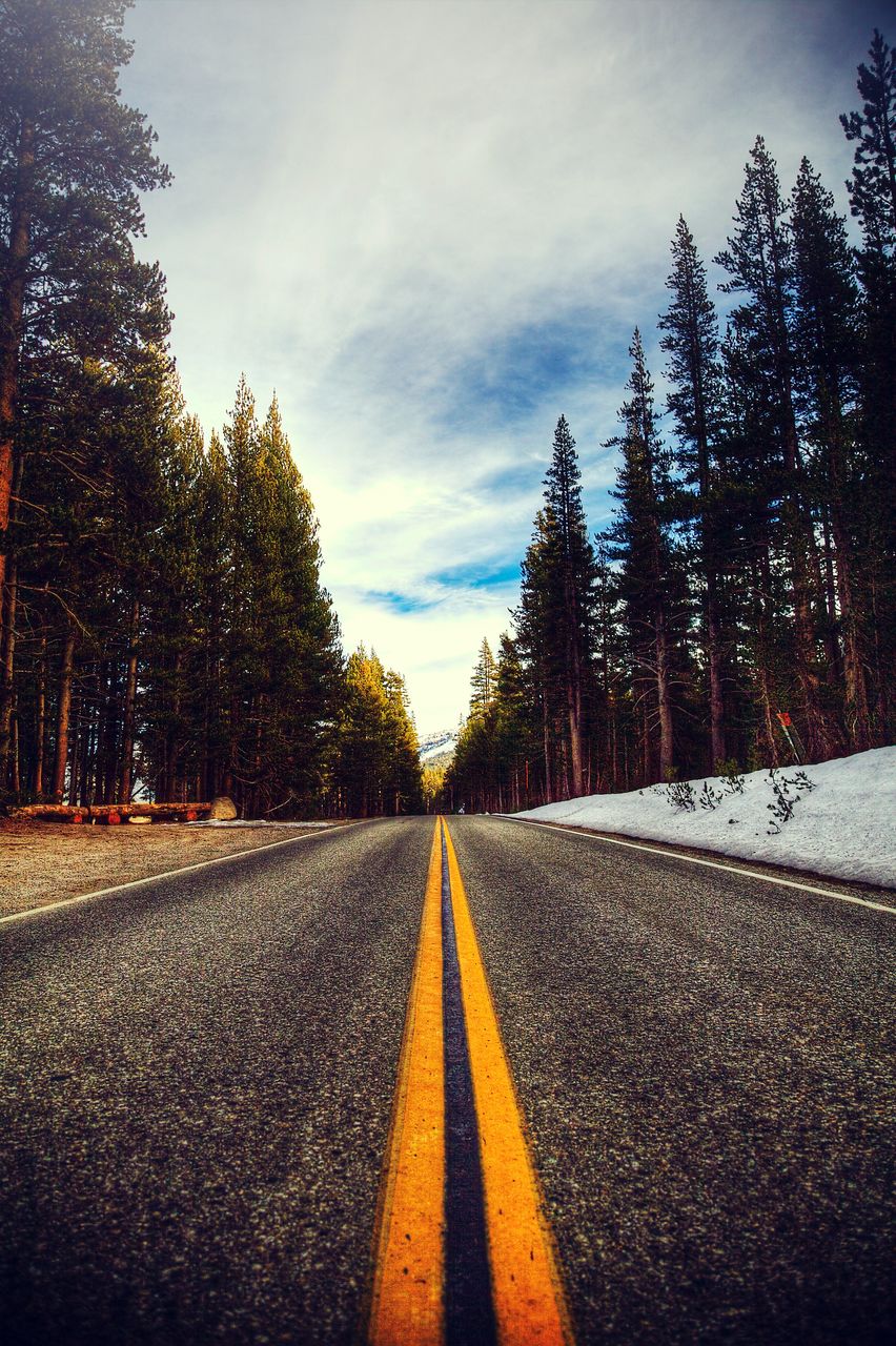 tree, road, morning, plant, transportation, sky, sunlight, the way forward, nature, road marking, light, marking, no people, diminishing perspective, symbol, sign, autumn, beauty in nature, dusk, vanishing point, double yellow line, cloud, scenics - nature, darkness, asphalt, tranquility, tranquil scene, horizon, sunrise, street, forest, land, reflection, non-urban scene, landscape, outdoors, empty road, coniferous tree, environment, yellow, country road, winter, highway, pinaceae, pine tree