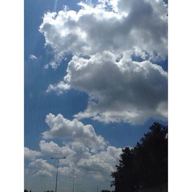 LOW ANGLE VIEW OF TREES AGAINST CLOUDY SKY