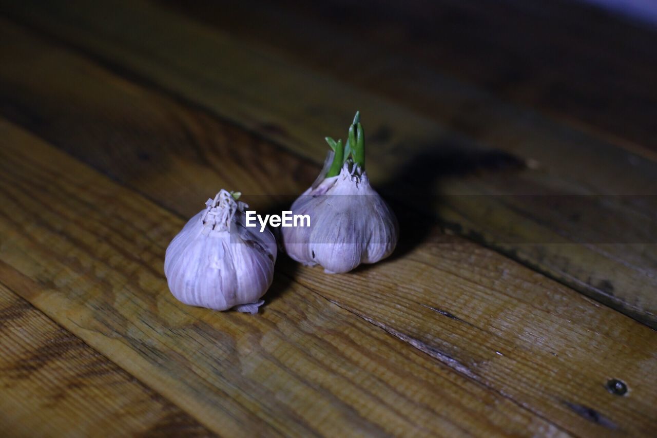 CLOSE-UP OF GARLIC ON WOOD TABLE