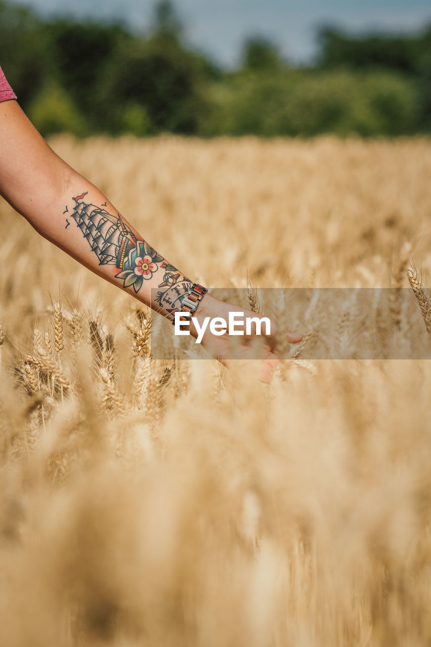 Cropped hand of person touching plants