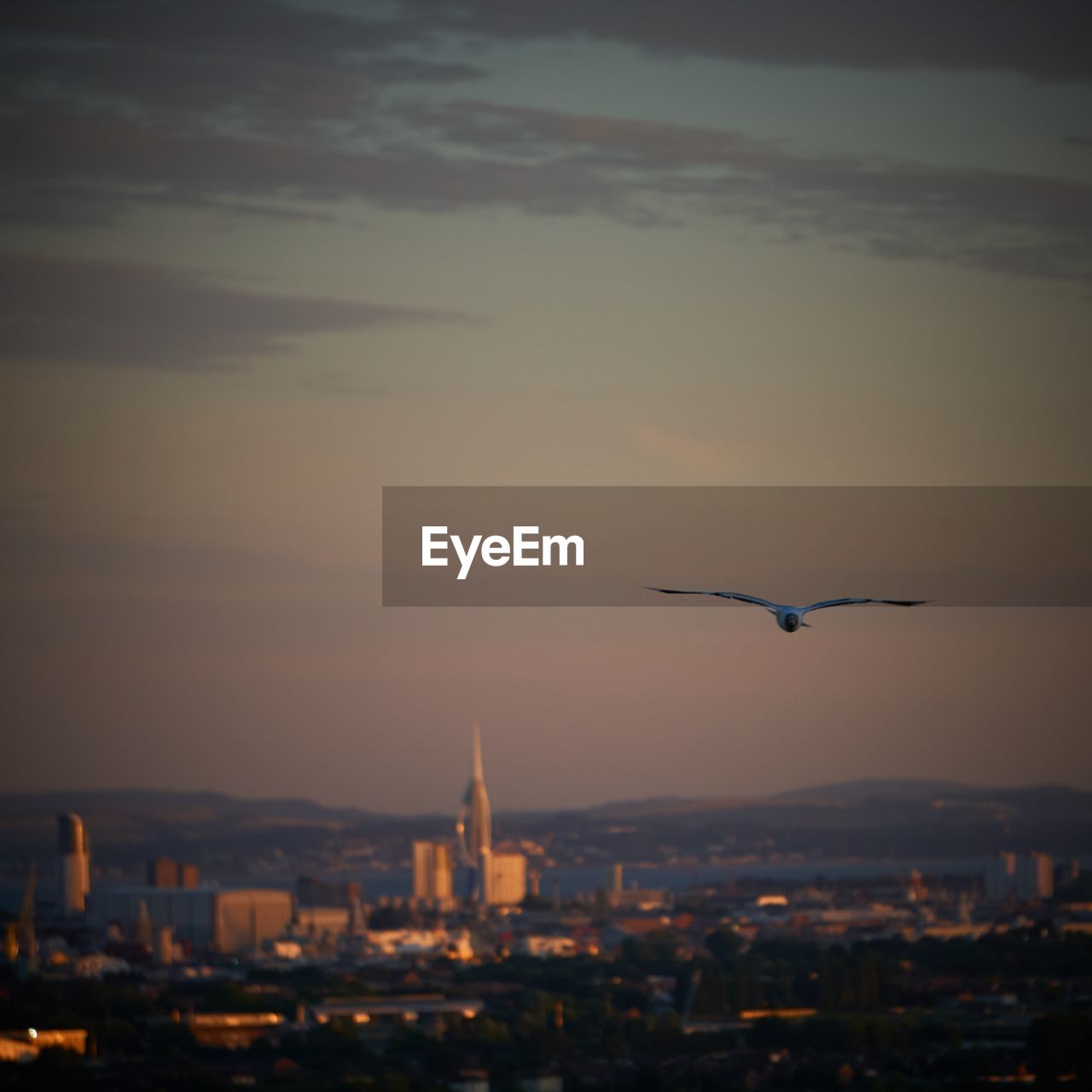 AERIAL VIEW OF CITY BUILDINGS DURING SUNSET