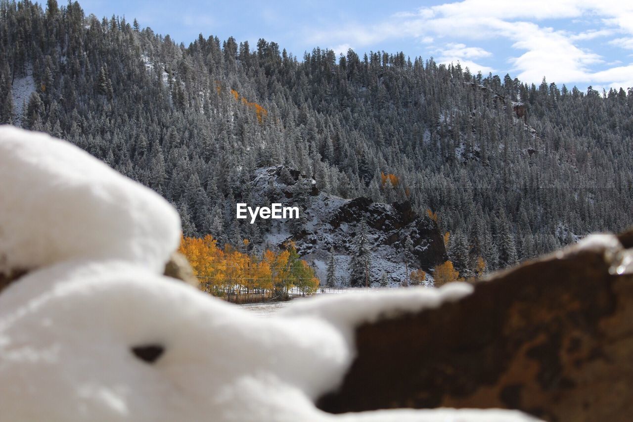 Close-up of snow on mountain