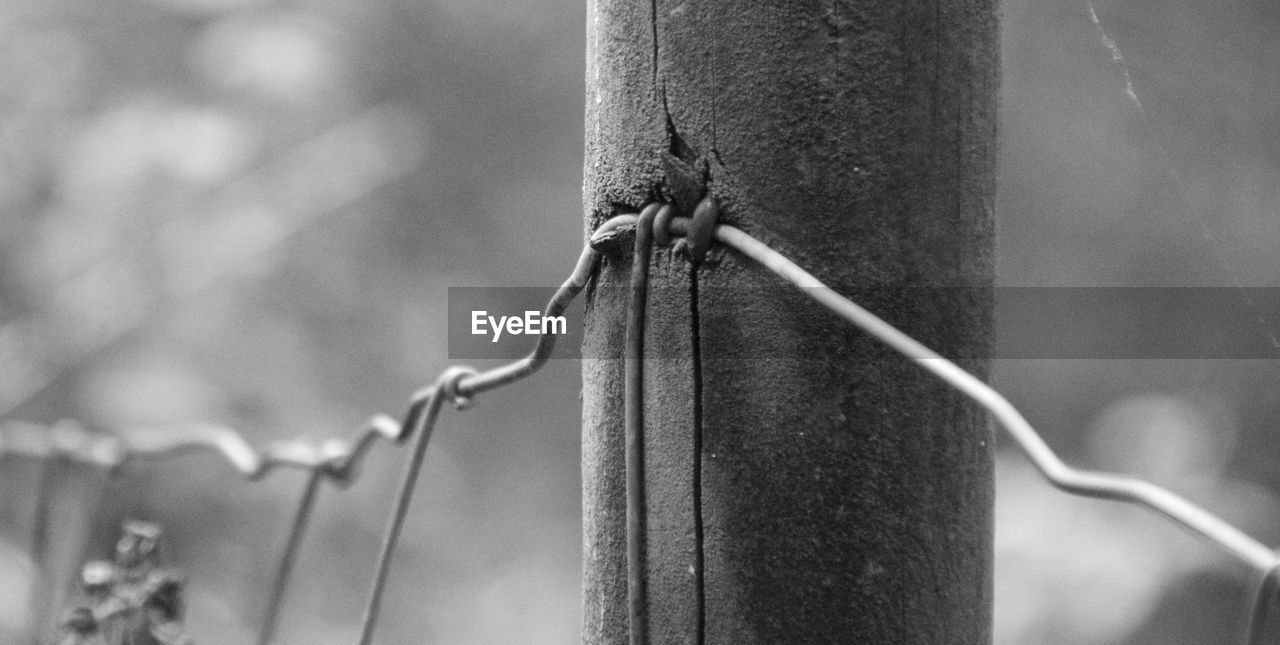 Close-up of wooden post and metal fence