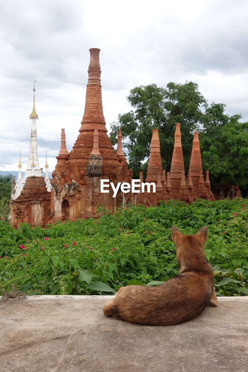 VIEW OF TEMPLE