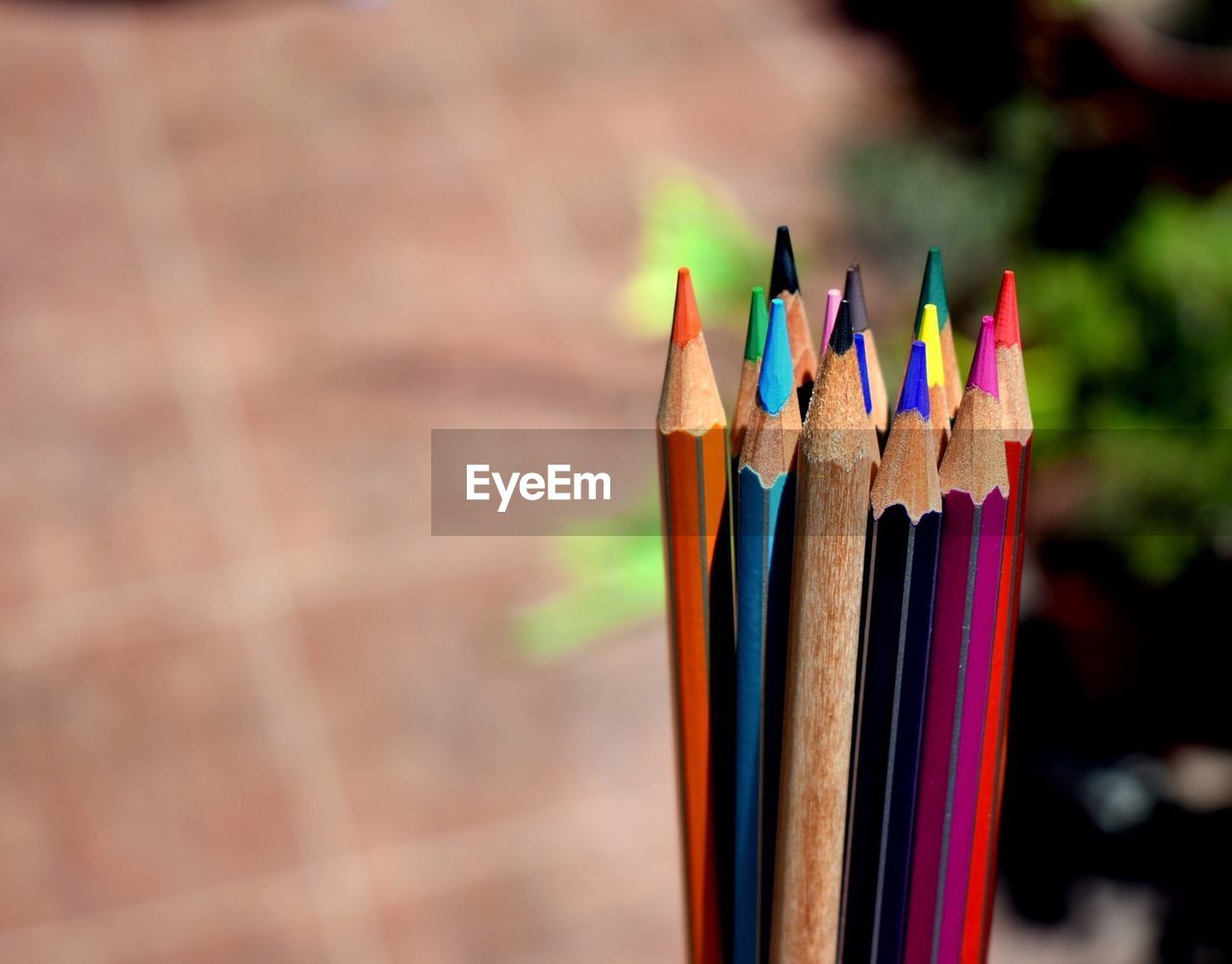 Close-up of multi colored pencils